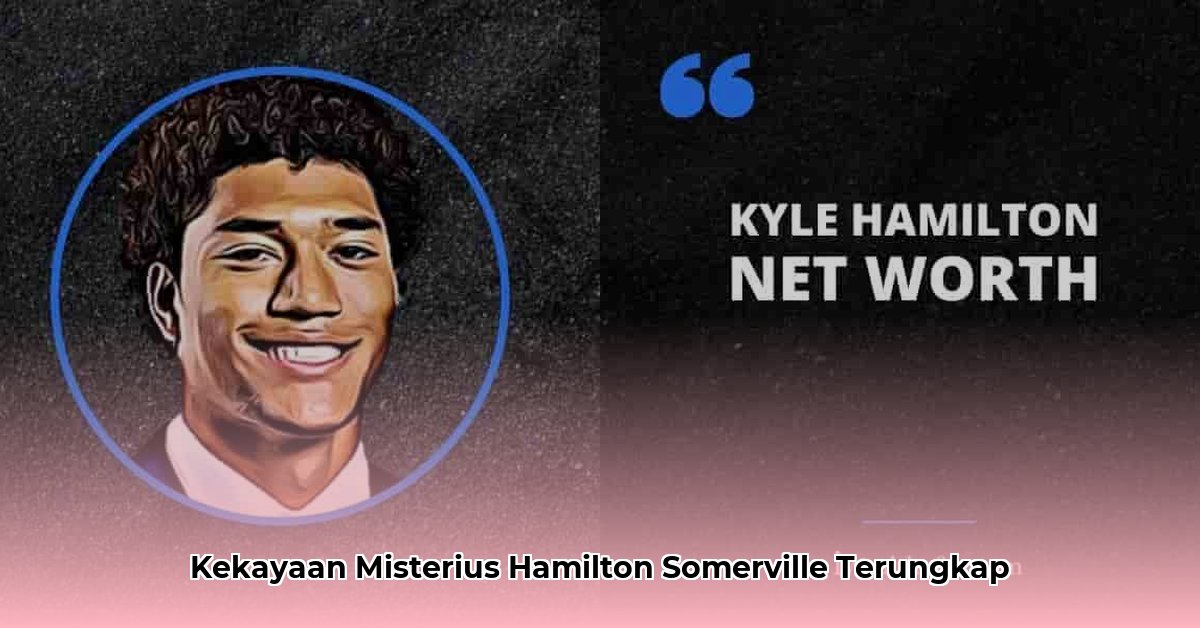 hamilton somerville net worth